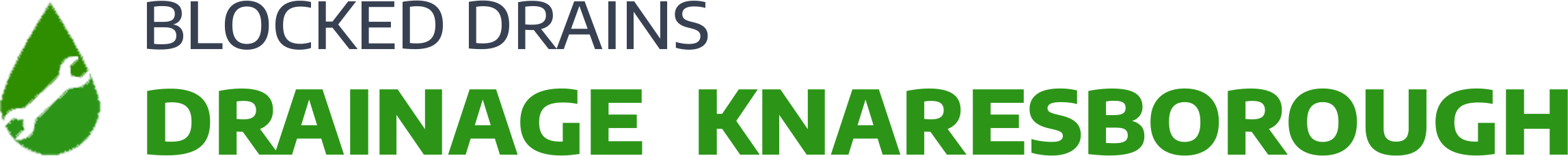 website logo